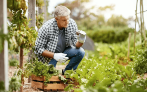 Step-by-Step Plant Selection and Care