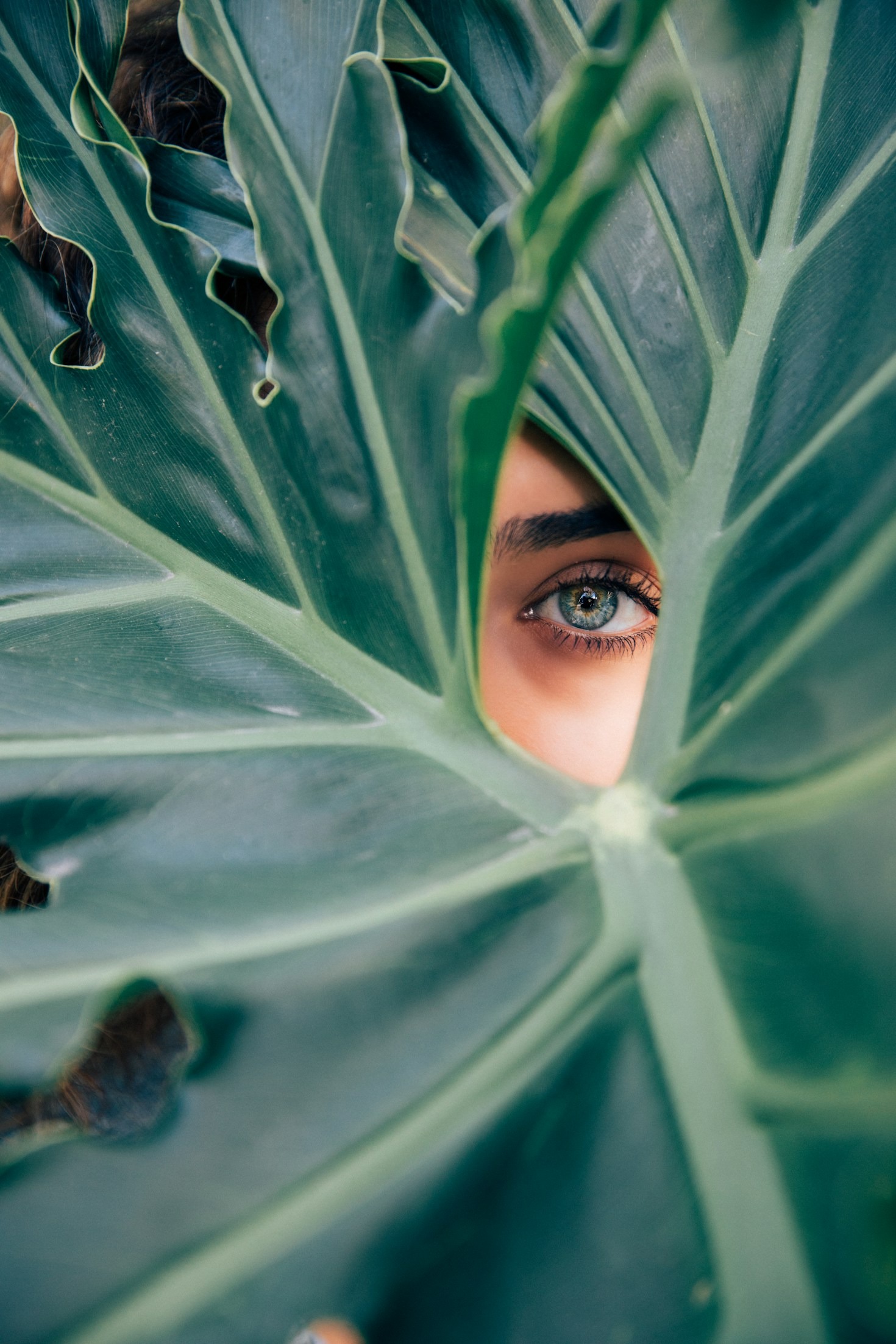 Health Trends to Watch and Try This Year